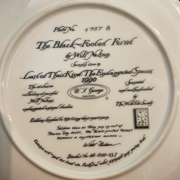 The Black Footed Ferret Will Nelson Vintage Last of Their Kind Endangered Plate - Picture 6 of 15